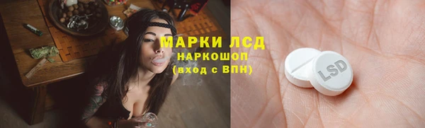 хмурый Ладушкин