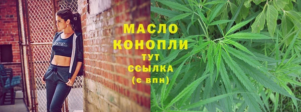 хмурый Ладушкин