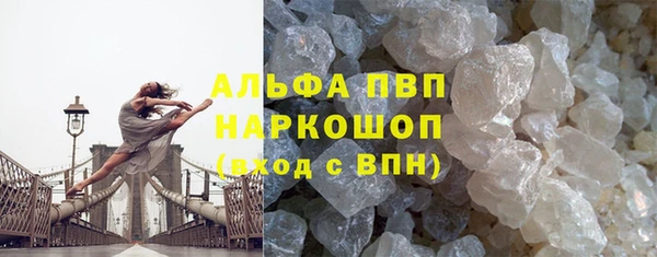 хмурый Ладушкин