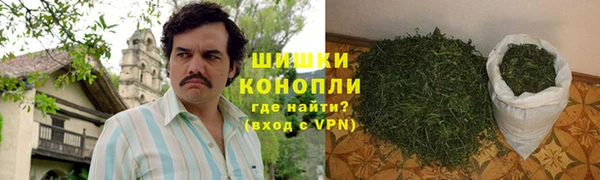 ГАЛЛЮЦИНОГЕННЫЕ ГРИБЫ Лиски